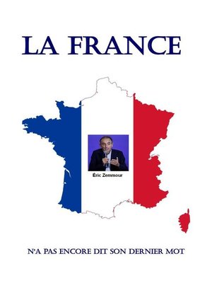 cover image of La France n'a pas encore dit son dernier mot.